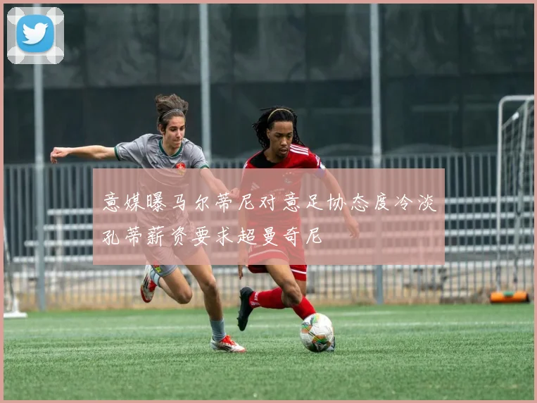 意媒曝马尔蒂尼对意足协态度冷淡孔蒂薪资要求超曼奇尼